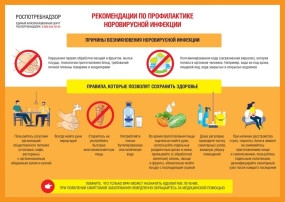 Профилактика новой норовирусной инфекции Профилактика новой норовирусной инфекции.