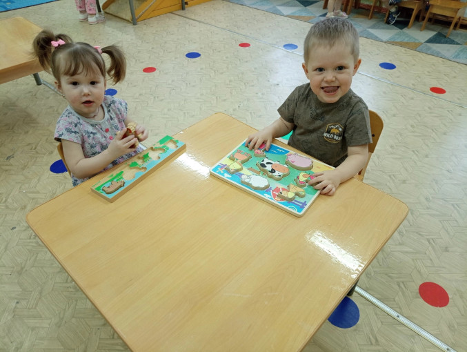 Изучаем домашних животных Изучаем домашних животных.